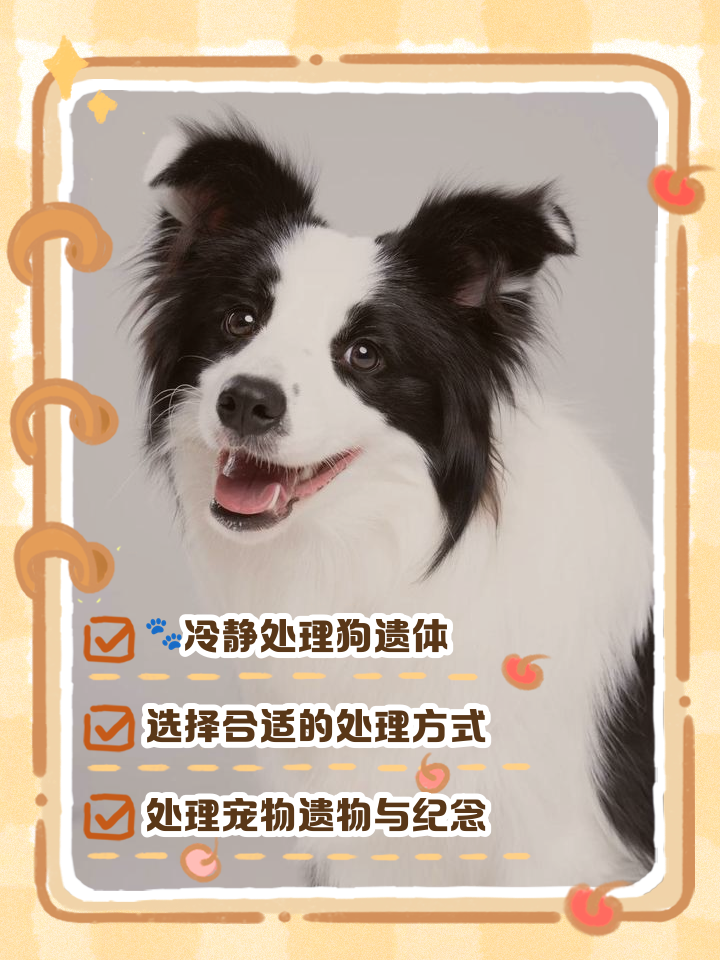 家里狗狗死了,有什么忌讳吗？